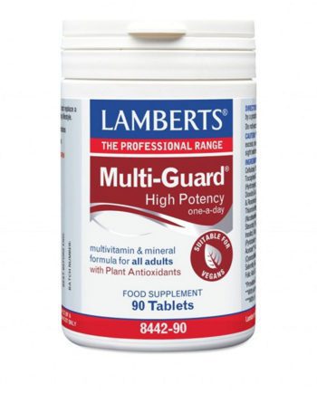 Lamberts Multi Guard High Potency 90 Tabs
