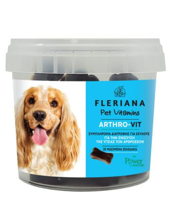Power Health Fleriana Pet Vitamins ARTHRO-VIT Συμπλήρωμα Διατροφής Για Σκύλους 20 Τεμάχια