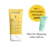Vinosun Protect High Protection Cream SPF30