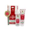 Aloe+Colors Christmas Promo The Kourabies Set