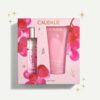 Caudalie Promo Rose de Vigne Fresh Fragrance 50ml + Rose de Vigne Shower Gel 200ml